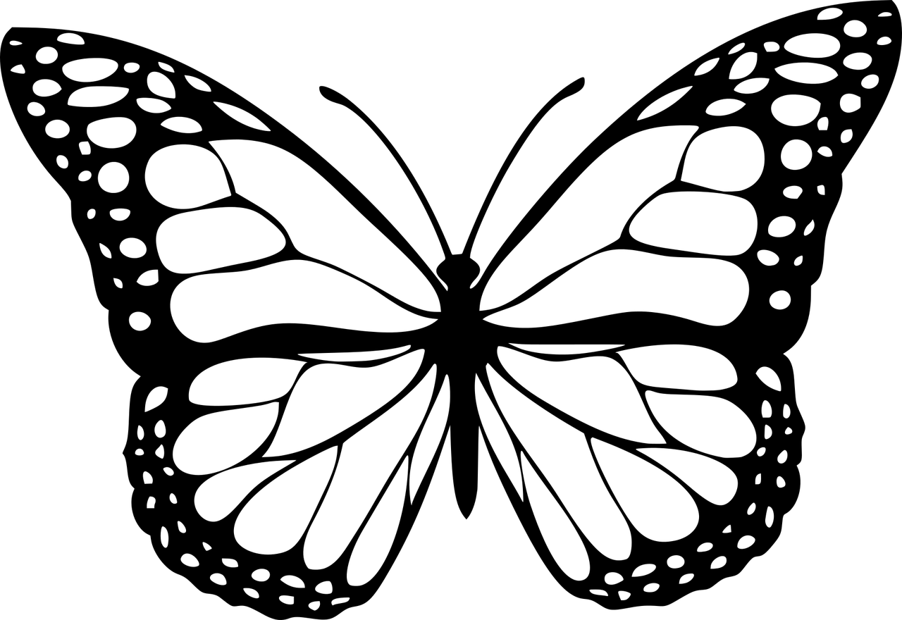 animal, butterfly, design